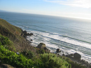 Marin County Coastline. Photo by K. Glavin.