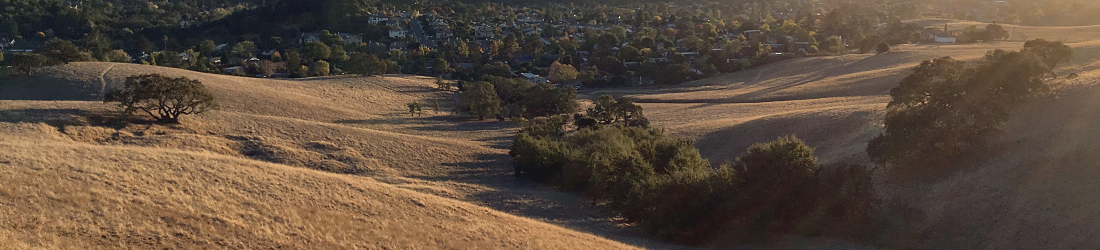 Mt. Burdell in Novato